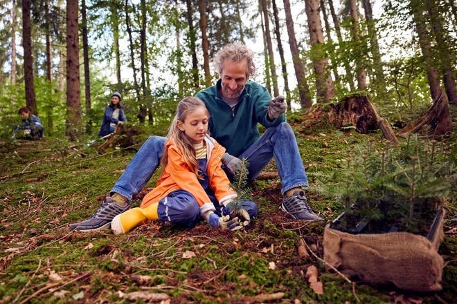 Gemeinsam für den Wald So kommt Genossenschaftsidee auch dem