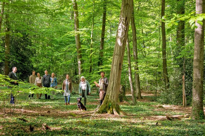 Ein Baum Als Grab Fur Familie Oder Freunde Die Gemeinsame Letzte Ruhestelle In Der Freien Natur Planen Ratgeberbox Tipps Tricks Informationen