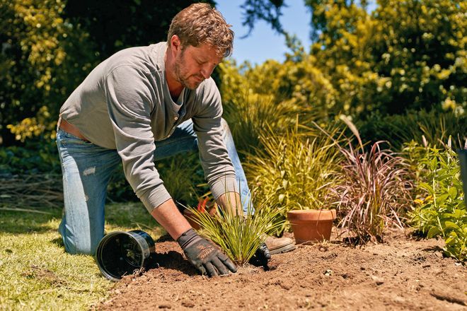 Gärtnern Leicht Gemacht: Bei Der Gartenarbeit Entspannen Und Neue ...