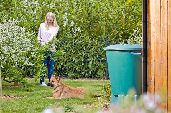 Jeden Tropfen Nutzen Regenwasser Im Garten Sammeln Und Damit Die Umwelt Schonen Ratgeberbox Tipps Tricks Informationen