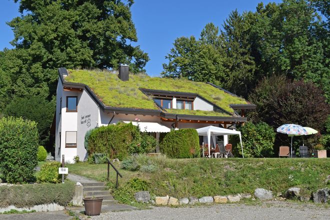 Dachbegrünungen tragen zum Klimaschutz bei: Sie binden CO2 in der Vegetation und helfen durch Energieeinsparungen, Emissionen zu senken.