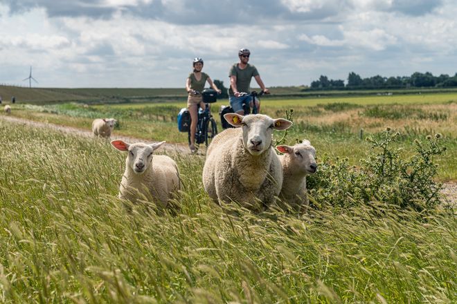 Entspannung, so weit das Auge reicht: Das südliche Ostfriesland lässt sich mit dem Rad individuell erkunden.