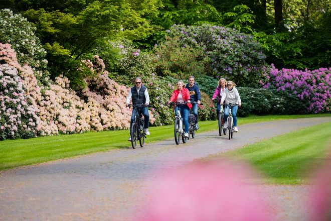 Ungestört Radeln durch ein farbenfrohes Blütenmeer: So farbenprächtig präsentieren sich die Alleen im Ammerland zur Rhododendronblüte im Frühjahr.