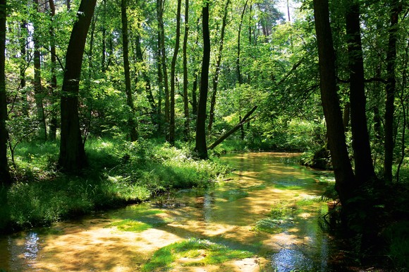 Von Wasserspielen Bis Safaripark Naturgenießern Bietet