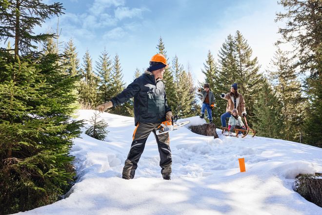 Das gemeinsame Weihnachtsbaumfällen ist für viele Familien eine beliebte Tradition.